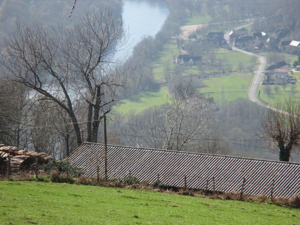 Le Petit Chat Beaulieu-sur-Dordogne Esterno foto